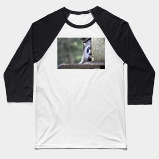 Raccoon in bird feeder (again) tsk! tsk! Baseball T-Shirt